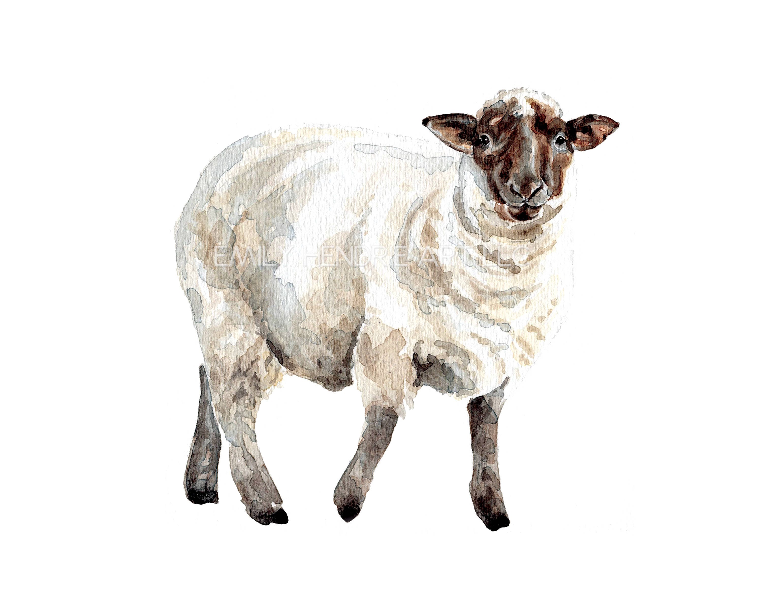 Farm Sheep Watercolor Print / Sheep Watercolor Art Print / | Etsy UK