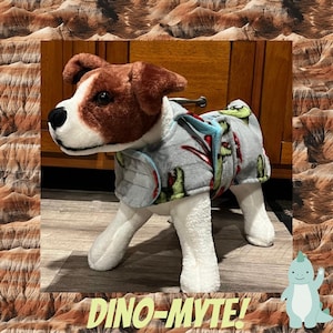 Può includere: Un piccolo cane che indossa una giacca con cappuccio in pile blu e verde con una stampa di dinosauro. La giacca ha un cappuccio e una chiusura a zip. Il cane è in piedi su un pavimento di legno. Il testo "DINO-MYTE!" è scritto in lettere gialle nella parte inferiore dell'immagine.