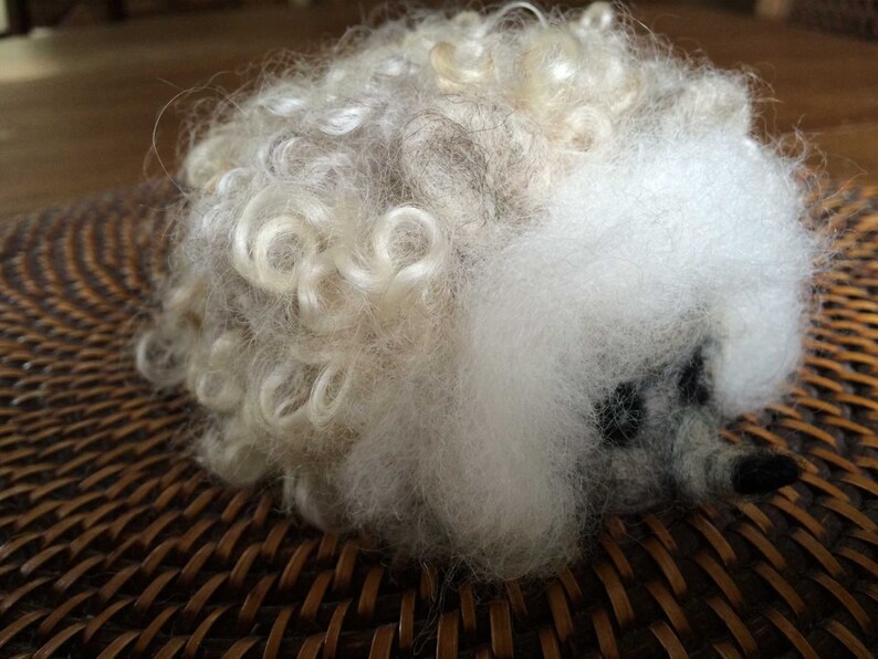 Needle Felted Curly Locks Hedgehog Silvery White or Etsy