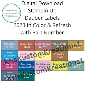 Stampin Up Papier Cardstock 2023 - 2025 In Kleur, Nieuw en Terugkerend Gereedschap Spons Dauber Kleurenkaart Organisator Sjabloon