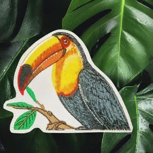 Colorful Toucan on Branch Iron-On Patch – Tropical Bird Embellishment – Perfect for Clothing, Accessories & DIY Projects