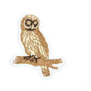 Patch uil ingewikkeld geborduurde opstrijkstof Ijzerhoudende dwerguil Roofvogelpatch van BalkisBoutique!