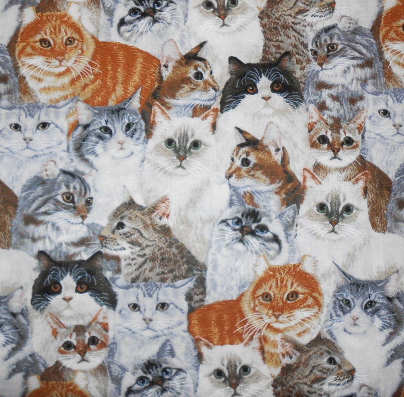 80 Plastic Grocery Bag Holder Cats Plastic Bag Holder Etsy