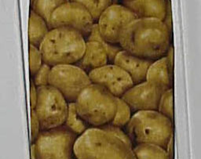 143# Plastic Grocery Bag Holder Potato's
