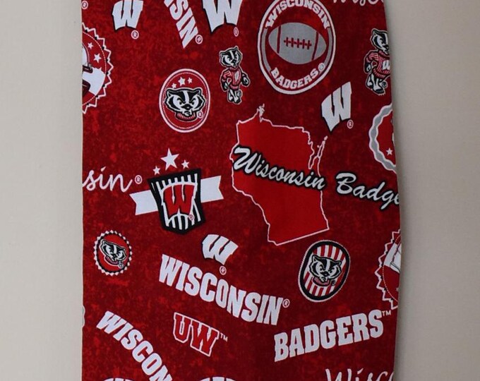 459#    NEW Plastic Grocery Bag Holder University of Wisconsin Badgers Football plastic bag holder