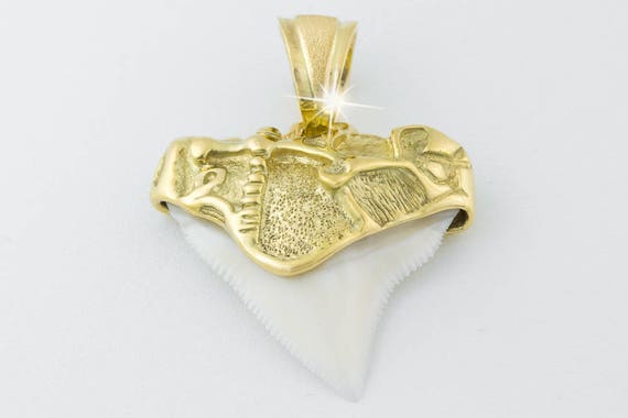 Fine 10k Or Jaune Poli Dent requin collier pendentif