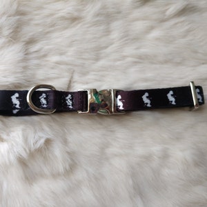 widespread panic dog collar
