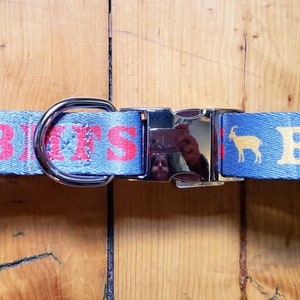 May include: Blue dog collar with a silver buckle and a red flower design. The collar has the text "BMFS" in yellow letters.
