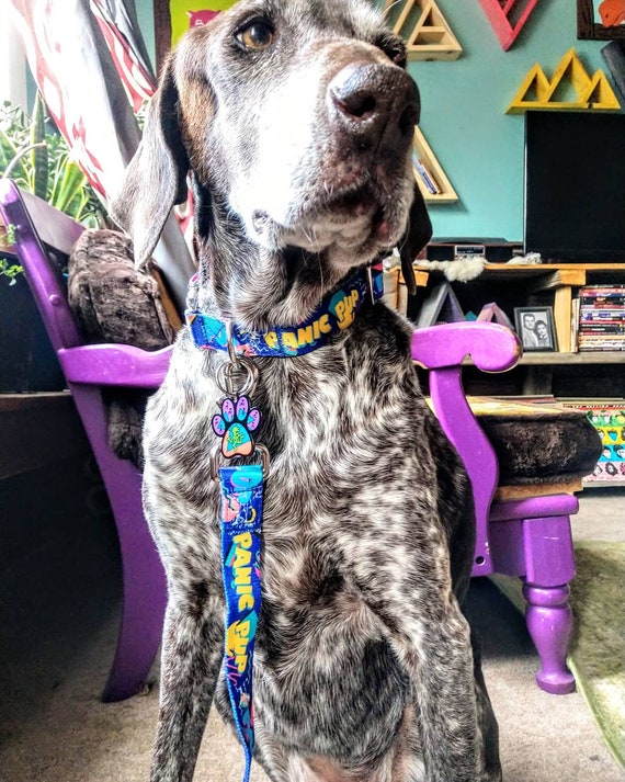 widespread panic dog collar