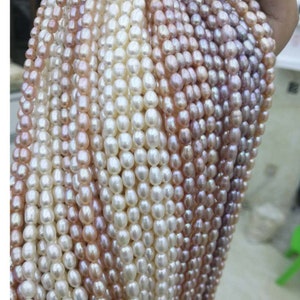 1 rang de perles de riz d'eau douce de 5 mm, perles de perles ovales d'eau douce pour la fabrication de bijoux Y024