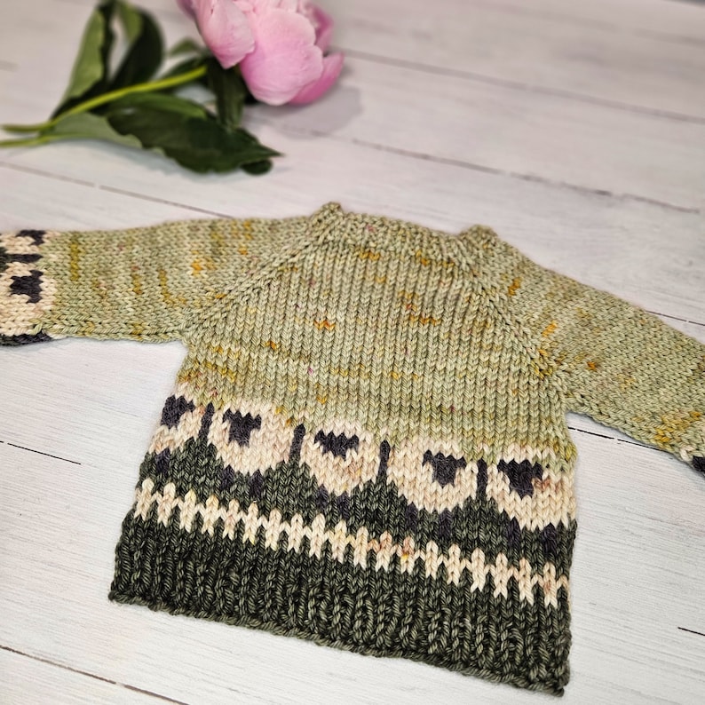 May include: A green knitted baby sweater with a white and black sheep pattern. The sweater has a crew neck and long sleeves.