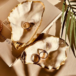 May include: Two oyster shell ring dishes with gold edging, each holding a gold ring. The shells rest on a book and a neutral surface, with a palm frond in the background. The shells have a natural, pearlescent finish.