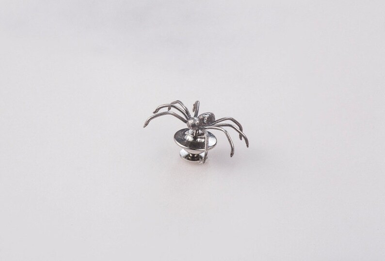 May include: A silver spider brooch with eight legs and a round base.