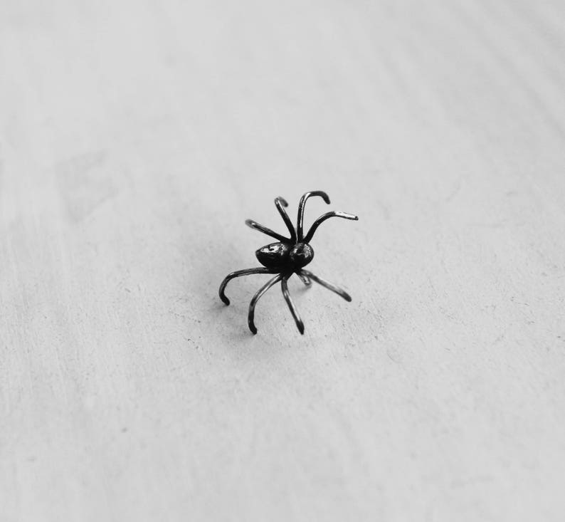 May include: A black metal spider figurine with eight legs and a rounded body.