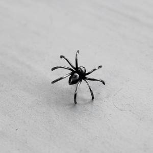 May include: A silver spider brooch with a detailed body and eight legs.