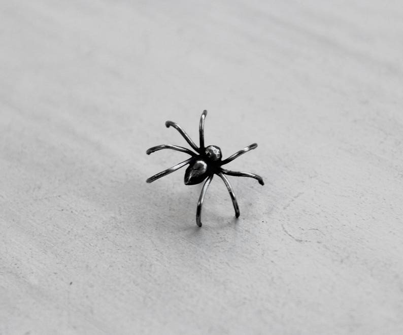 May include: A silver spider brooch with a detailed body and eight legs.