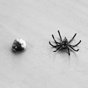 May include: A silver metal pin with a round head and a black spider charm.