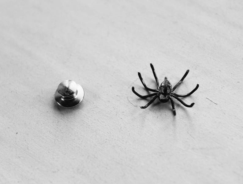 May include: A silver metal pin with a round head and a black spider charm.