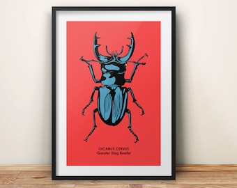 Stag Beetle Art Print