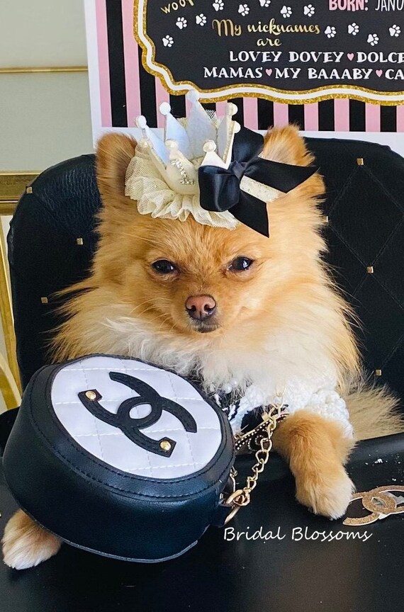Dog tiara sale headband