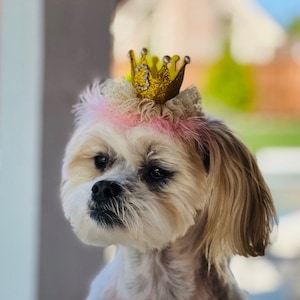 Dog Puppy Birthday Glitter Tulle Crown - Yellow Gold Pink Ivory Pearl Flower - Elastic Headband 1st 2nd 3rd 4th 9th Birthday Tiara Hat