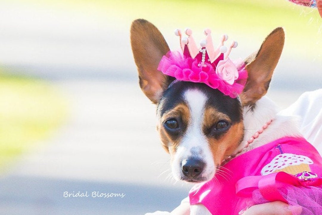 Dog Puppy Birthday Glitter Tulle Crown Headband Bright Hot Pink Pearl Elastic Headband 1st 2nd 3rd 4th 9th Birthday Number Tiara Hat Etsy