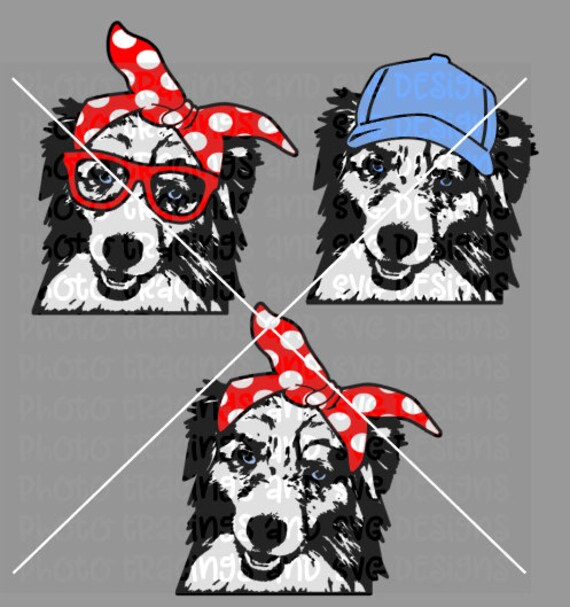 Download Australian Shepherd Aussie Dog Svg With Bandana Glasses Hat Etsy PSD Mockup Templates