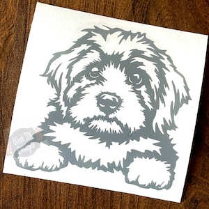 May include: A gray silhouette of a small dog with fluffy fur, looking directly at the viewer. The dog is lying down with its paws visible.