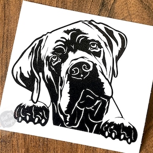 Cane Corso Decal | Peeking Cane Corso Decal | Cane Corso Sticker | Peeking Cane Corso Sticker | Dog Decal | Car Window Decal | Animal Decal