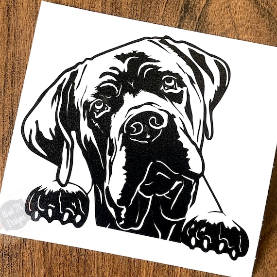 Cane Corso Umbrella - Auto Open Cane Corso Umbrella - Auto Open