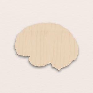 Può includere: Sagoma di cervello in legno, color beige chiaro, con venature del legno visibili. La sagoma è posta su uno sfondo neutro. La forma del cervello è un simbolo comune per l'istruzione, la scienza e la salute.