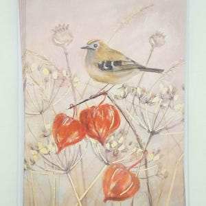 Goldcrest & Chinese Lanterns, confezione da 5 biglietti di auguri colorati - vuoti all'interno