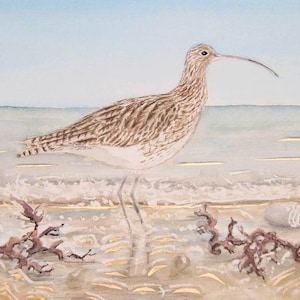 Giclée Druck - Brachvogel