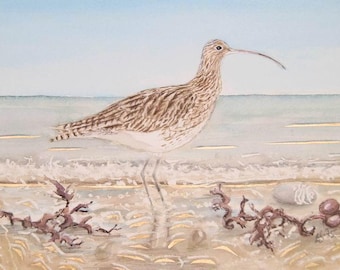 May include: Watercolor painting of a curlew bird standing on a sandy beach. The bird has brown and white patterned feathers and a long, curved beak. The background shows the ocean and a light blue sky. Seaweed and a small rock are in the foreground.
