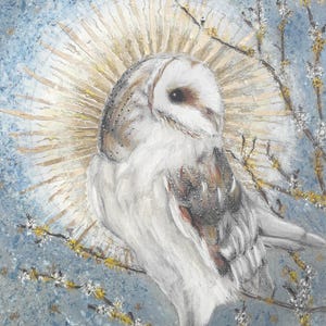 Giclée Print - Barn Owl