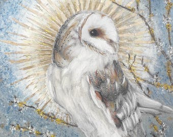 Giclée Print - Barn Owl