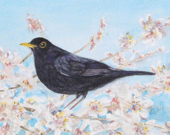 May include: A blackbird with a yellow beak perched on a branch of a tree with white blossoms. The bird is facing the right side of the image. The background is a light blue sky.