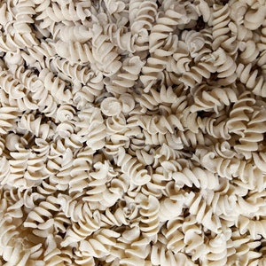 May include: A close-up view of a large quantity of uncooked, dried pasta. The pasta is shaped like a spiral, and it is a light beige color.