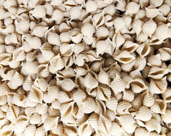 May include: A close-up view of a large quantity of uncooked pasta shells. The pasta is a light beige colour and has a slightly rough texture.
