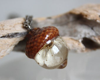 Sphere 19 mm Bright natural pendant Pendant terrarium Orange acorn pendant with a real cap of acorns and epoxy The real cap of acorn