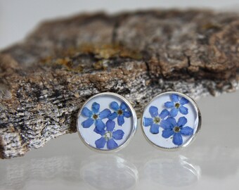 Forget-Me-Not Resin Earrings: Silvered Hypoallergenic Studs