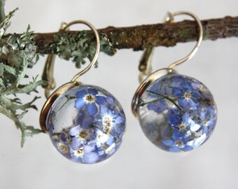 Forget-Me-Not Earrings: Real Flower Terrarium Dangle Earrings