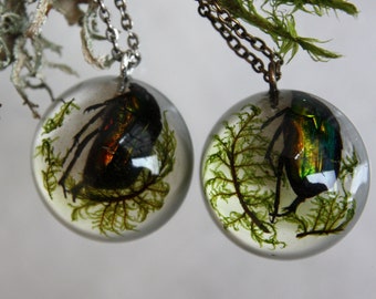 Cetonia aurata  pendant, Beetle cetonia aurata moss epoxy resin pendant, Pendant epoxy resin,  Suspension terrarium