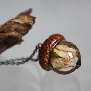 Sphere 19 mm Bright natural pendant Pendant terrarium Orange acorn pendant with a real cap of acorns and epoxy The real cap of acorn