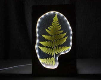 Epoxy Resin Fern Night Light: Hardwood LED Lamp