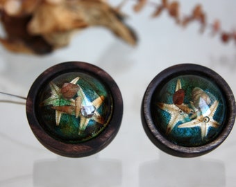 Sea Bottom Magnetic Curtain Tie: Hardwood Petri Art with Starfish