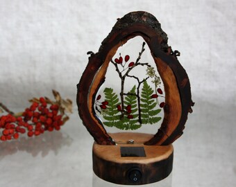 Cherry Wood Night Light: Dogwood Berries, Fern & Epoxy Resin - Solar Battery