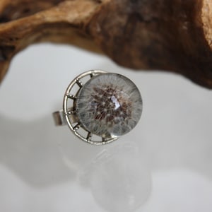 Real dandelion ring in a sphere, Real dandelion in epoxy resin, Terrarium ring
