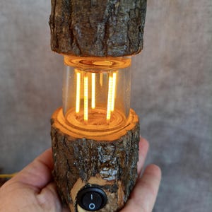 Può includere: Una lampada in legno fatta a mano con un design rustico. La lampada presenta un involucro di vetro cilindrico con una fonte di luce calda e brillante. La lampada è racchiusa in sezioni di corteccia d'albero, con un interruttore on/off nero sulla base.