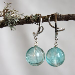 May include: A pair of silver dangle earrings with a light blue glass orb containing a dried dandelion seed head. The earrings are hanging from a branch.